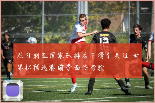 尼日利亚国家队排名下滑引关注 世界杯预选赛前景面临考验