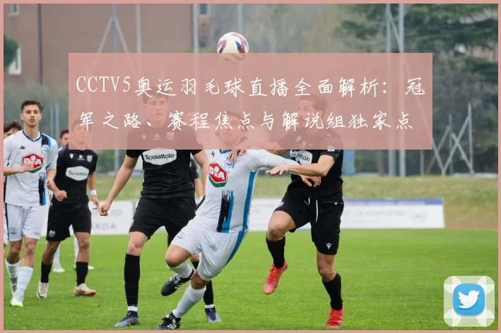 CCTV5奥运羽毛球直播全面解析：冠军之路、赛程焦点与解说组独家点评