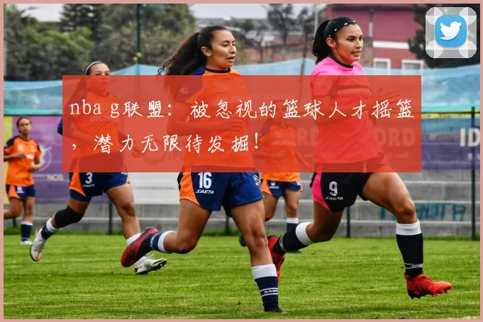 nba g联盟：被忽视的篮球人才摇篮，潜力无限待发掘！