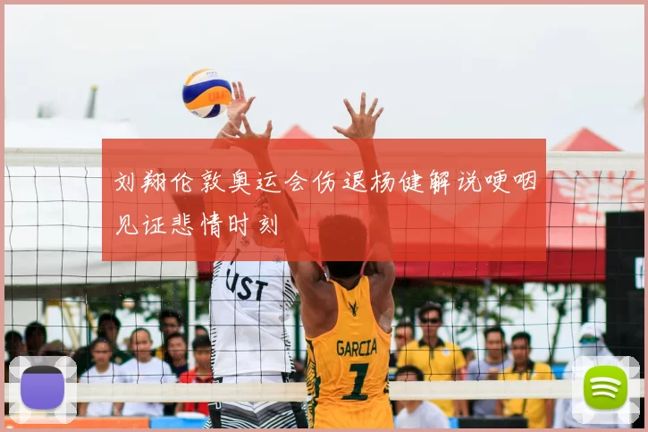 刘翔伦敦奥运会伤退杨健解说哽咽见证悲情时刻