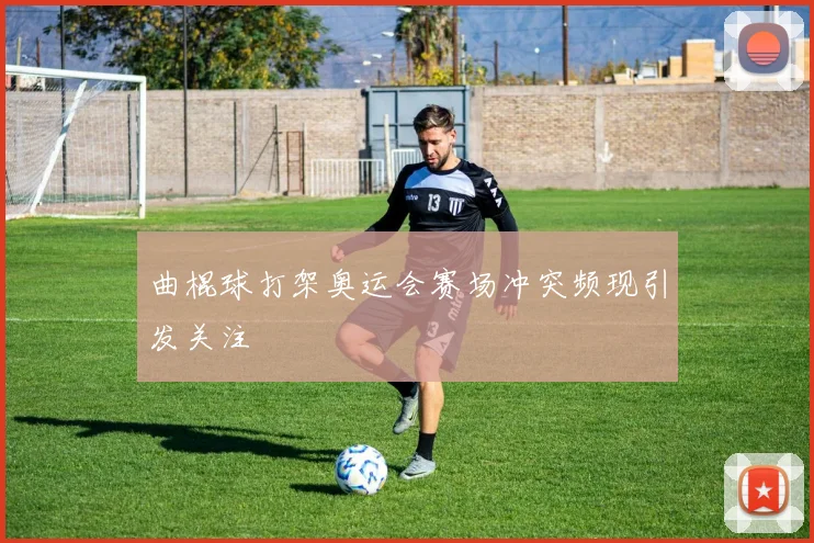 曲棍球打架奥运会赛场冲突频现引发关注