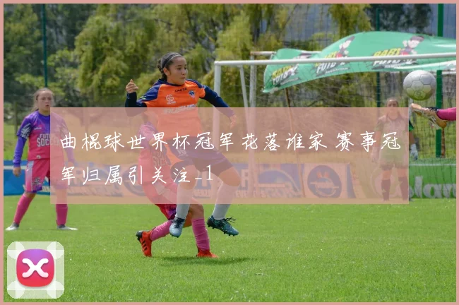 曲棍球世界杯冠军花落谁家 赛事冠军归属引关注_1
