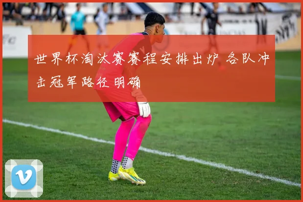 世界杯淘汰赛赛程安排出炉 各队冲击冠军路径明确