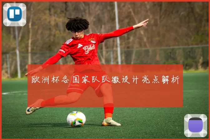 欧洲杯各国家队队徽设计亮点解析