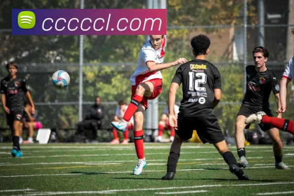 九游网页版本官网服务体系